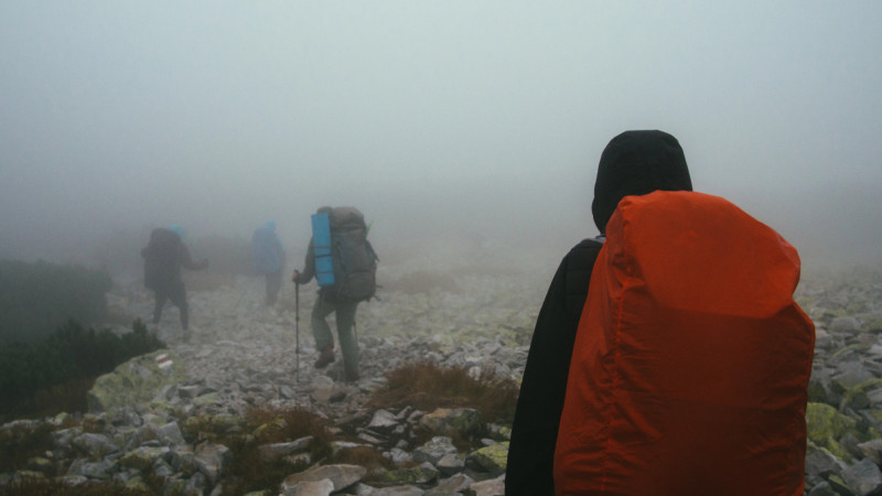 Фото: depositphotos.com/igorsobakka.gmail.com