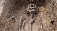 Скелеты возрастом 6000 лет раскрыли исчезнувшую ветвь человечества
