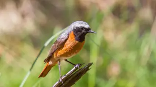 Циклон с “сюрпризами“ надвигается на Казахстан