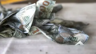 Не принимают доллары? Нацбанк обратился к казахстанцам