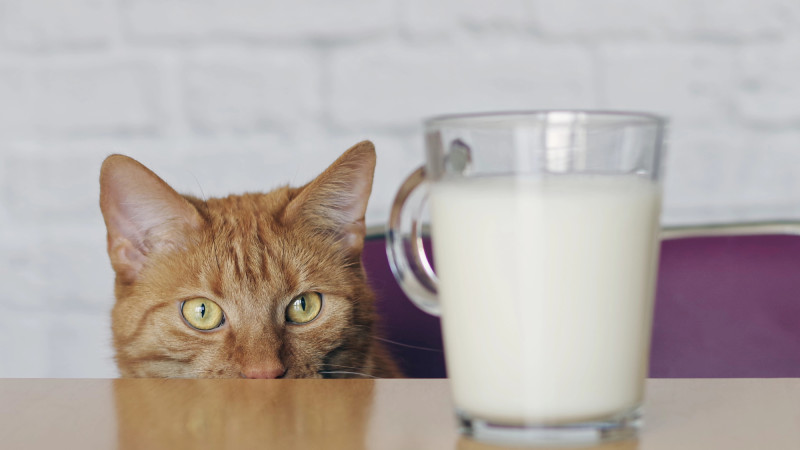 Фото:depositphotos.com