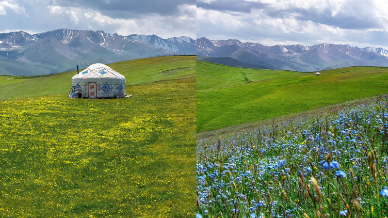 Фото: instagram.com/dots_foto