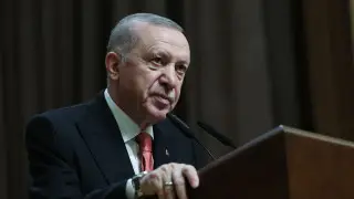 Эрдоган призвал остановить Израиль и предупредил о последствиях ударов по Ирану