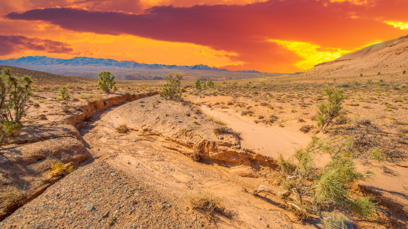 Фото:depositphotos.com