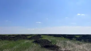 “Мы задыхаемся“: птичий помет массово свозят близ Актобе