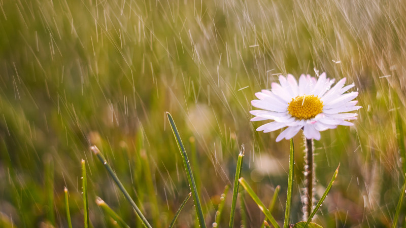 Фото:depositphotos.com