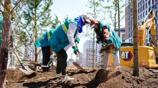 Аким рассказал, как изменится Астана после благоустройства