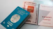 Министр о новых правилах въезда в Россию: “Примем аналогичные меры“