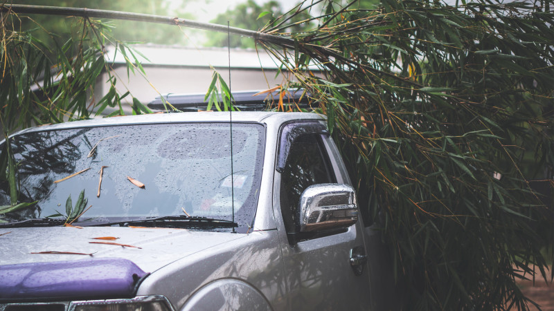 Фото:depositphotos.com