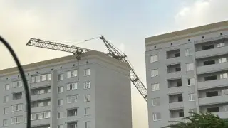 Шторм в Павлодарской области: без света, с поваленными деревьями и последствиями