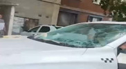 Сорванный ураганом обломок дерева проткнул насмерть пассажирку такси в Аксу