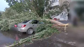 Ураган в Павлодарской области: число пострадавших достигло 16 человек