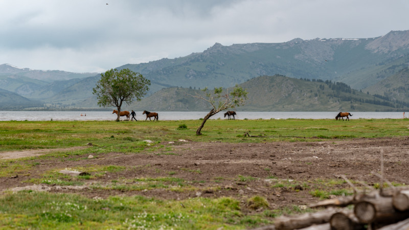 Фото ©️ Tengrinews.kz / Турар Казангапов