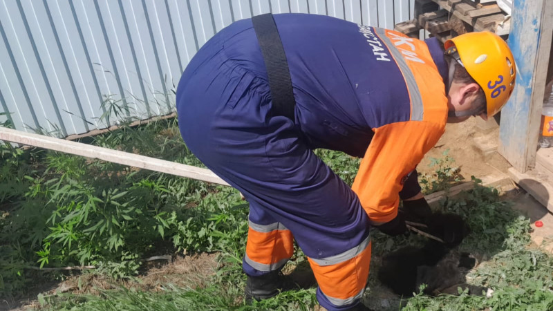 Фото МЧС Казахстана