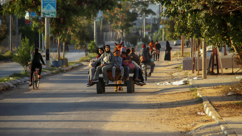 Фото:depositphotos.com/ thenews2.com