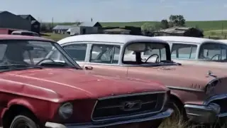 Найден автоклад: почти 300 забытых машин в идеальном состоянии