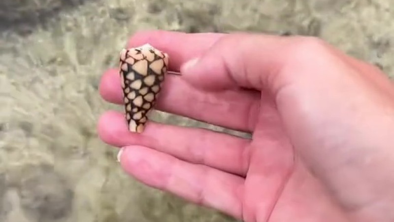 Кадр из видео