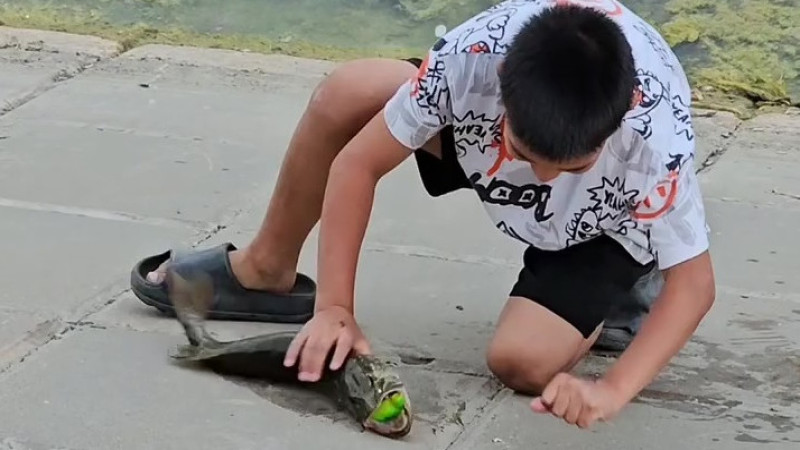 Кадр из видео