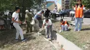 Жители, артисты и общественники вместе провели уборку двора в Алматы