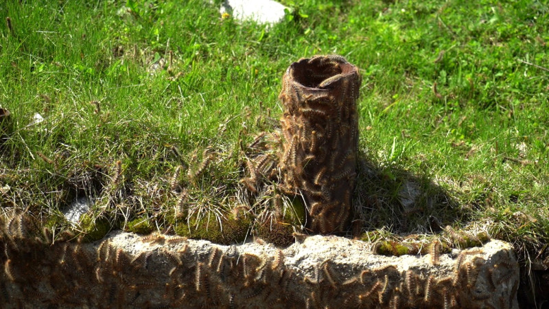 Фото ©️ Tengrinews.kz