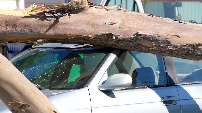 Фото:depositphotos.com