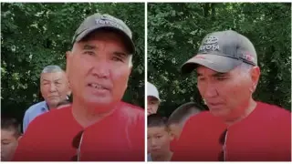 Вырвал из пасти собак: мужчину требуют наказать после спасения ребенка