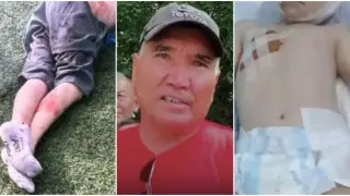 Спас ребенка - и вынужден оправдываться. Полиция высказалась об убийстве собак под Алматы