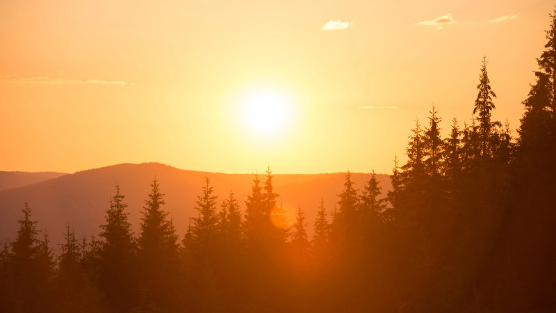 Фото:depositphotos.com