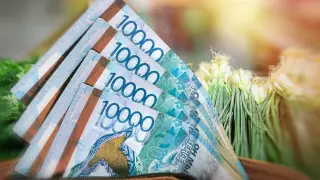 Неосторожный поступок обойдется в 300 тысяч тенге: министерство утвердило новые штрафы