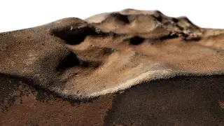 Кусок метеорита с Марса уйдет с молотка