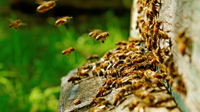 Фото:depositphotos.com