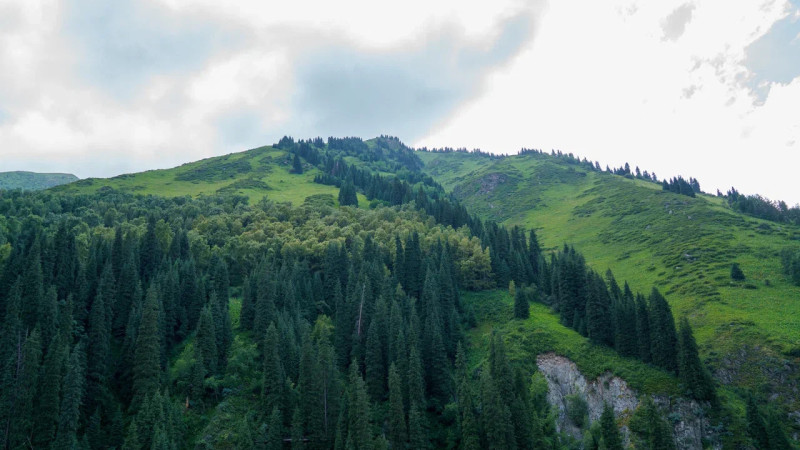 Фото ©️ Tengrinews.kz / Болат Айтмолда