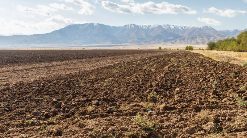 Фото:depositphotos.com
