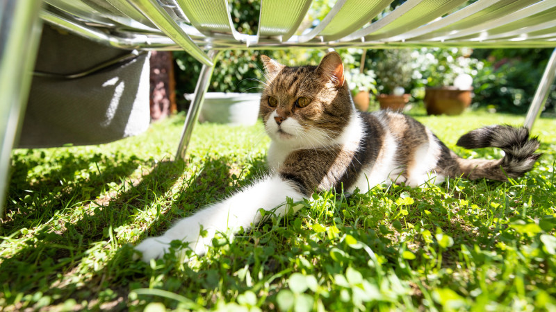 Фото:depositphotos.com