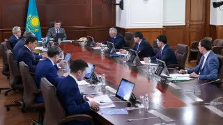 Бектенов отправил вице-премьера и министра в регионы после замечания Президента