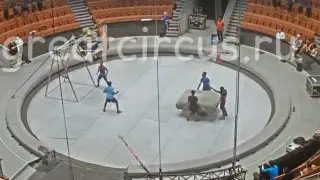 Воздушный гимнаст упал с семиметровой высоты в цирке и сломал позвоночник