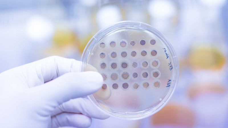 Фото:depositphotos.com