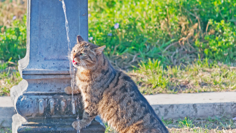 Фото:depositphotos.com