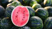 Когда лучше покупать арбузы в Казахстане, рассказали эксперты