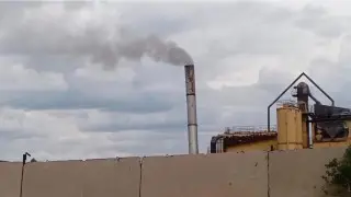 Вместо урожая - сажа: дачники под Карагандой жалуются на дым от завода