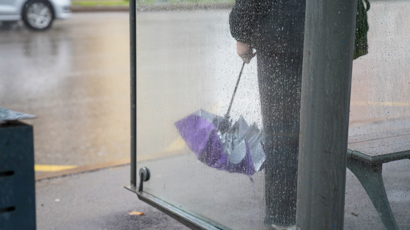 Фото: ©Tengrinews.kz/Болат Айтмолда