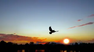 Жара до +38 и резкое похолодание: погода в Астане и Алматы