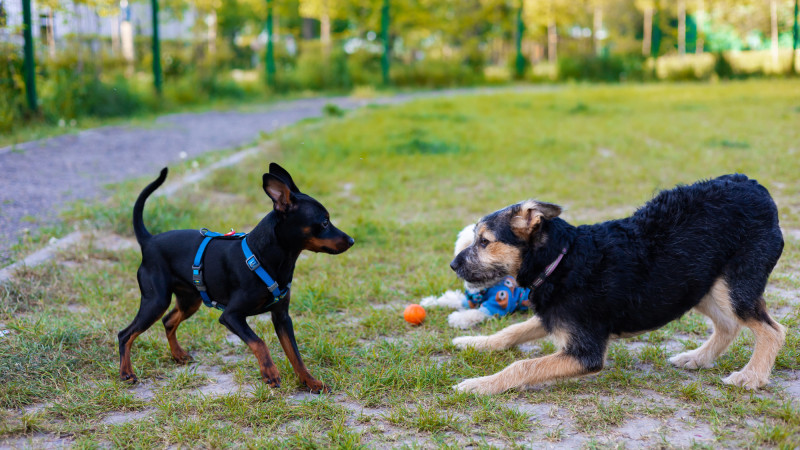 Фото:depositphotos.com