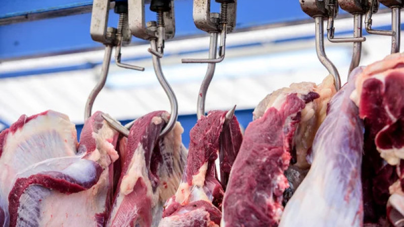 Фото: depositphotos.com