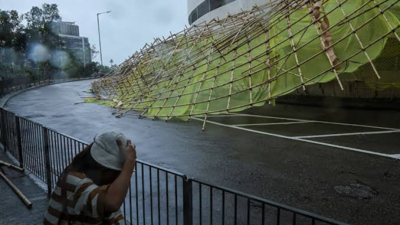 Фото: https://x.com/NewsNucleus