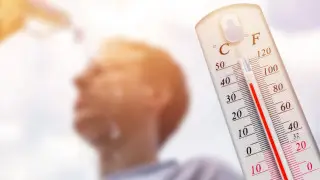 Сильная жара ожидается почти на всей территории страны 21 июля