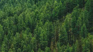 Территории на 1,3 миллиарда вернули в Акмолинской области