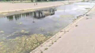 Ждали оазис - получили болото: во что превратилась река в центре Актобе