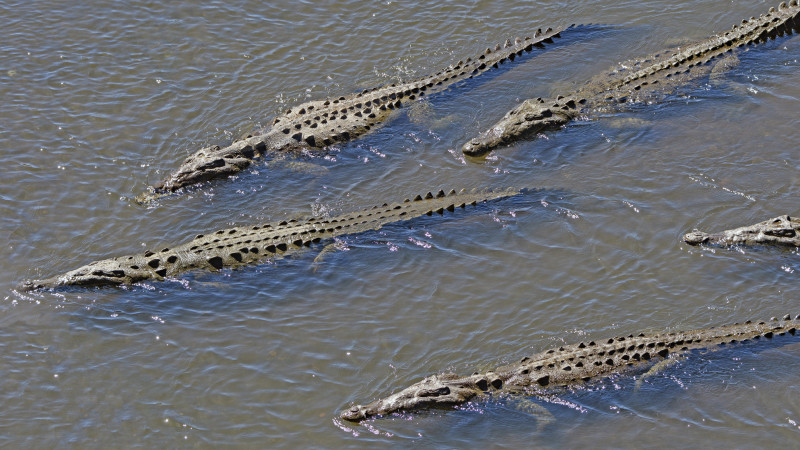 Фото:depositphotos.com