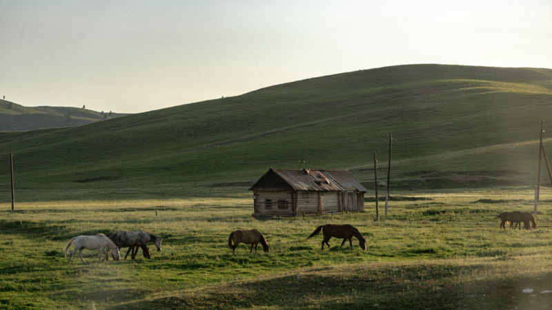 Фото ©️ Tengrinews.kz / Турар Казангапов